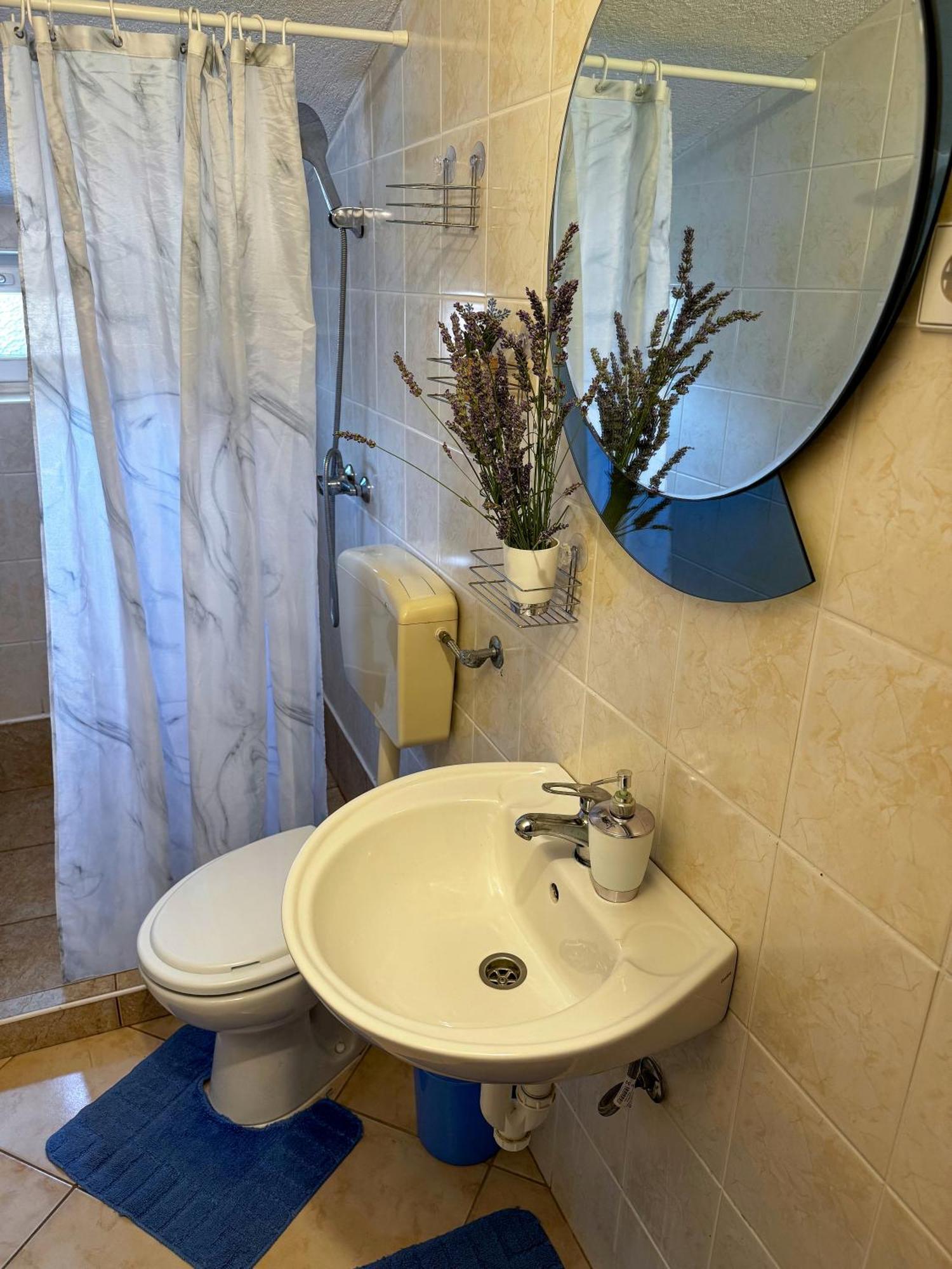 ויר Apartmani Cvangic מראה חיצוני תמונה